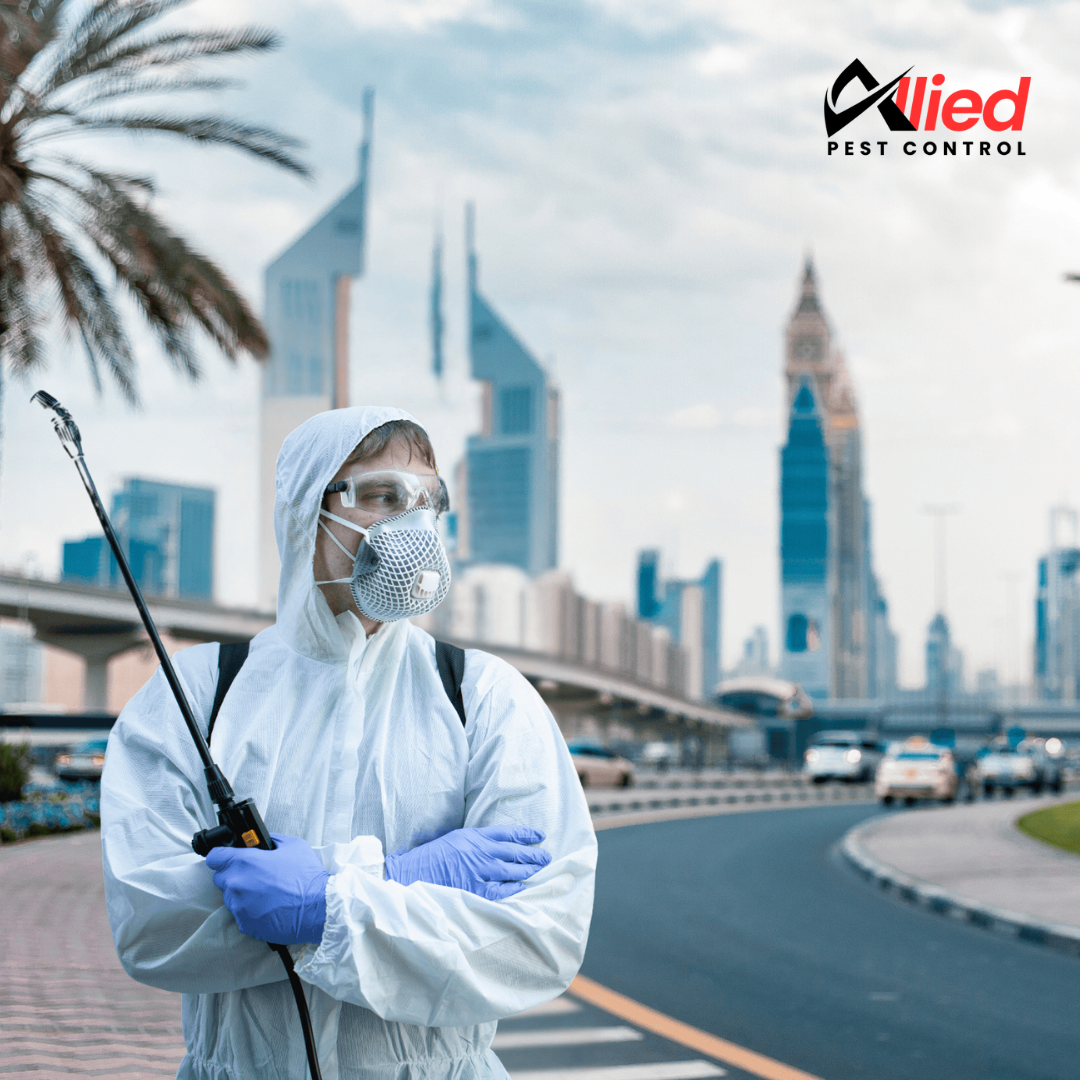 pest control services in uae (1)
