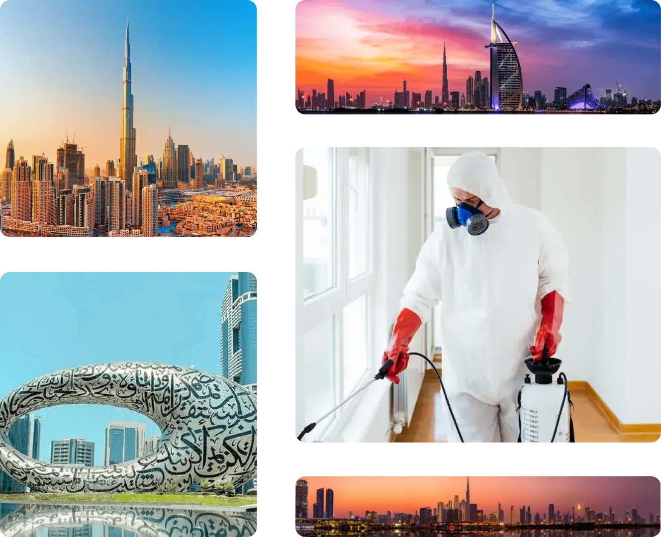 pest control services near me