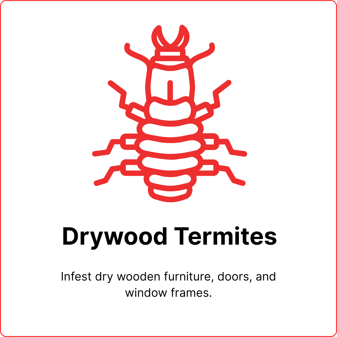 premium leather wallets designed for bold personalities.