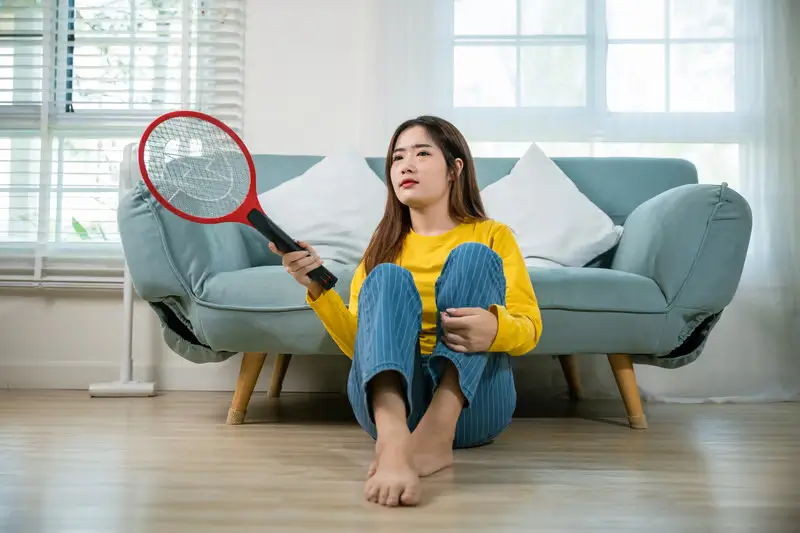 mosquito control