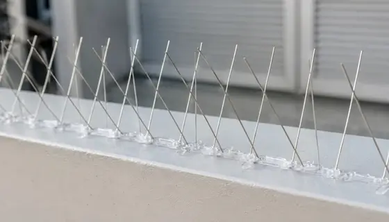 bird spikes deterrents