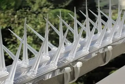 bird spikes in dubai