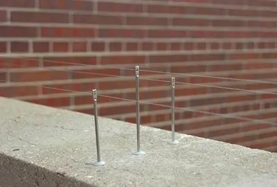 bird wire deterrent systems