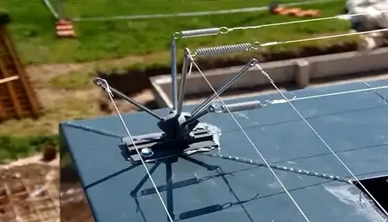 bird wire system