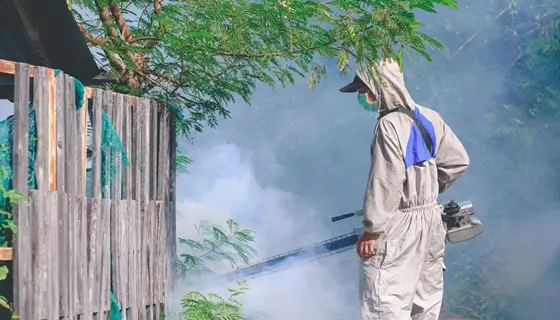 commercial mosquito control dubai