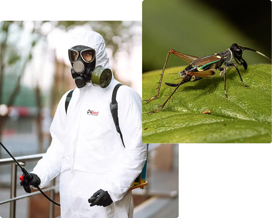 committed to safe and effective pest management