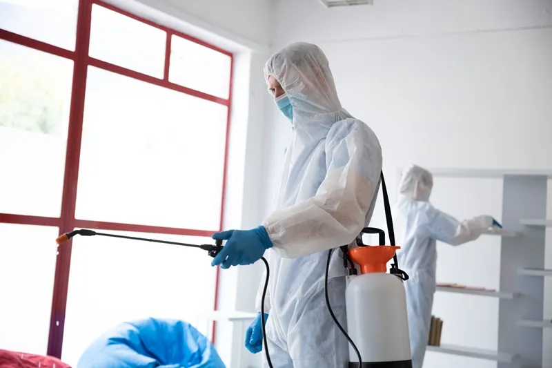 disinfection and sanitization cost
