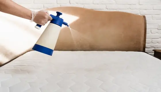 eco friendly treatment