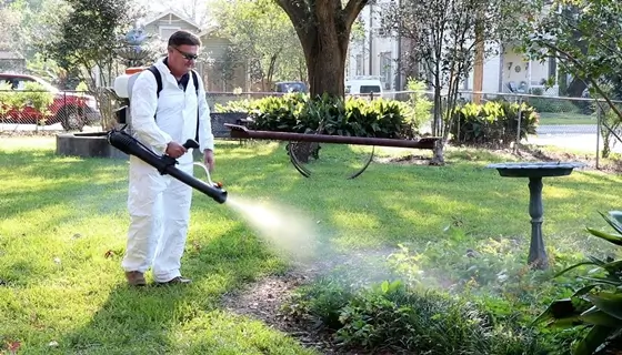 outdoor garden mosquito control