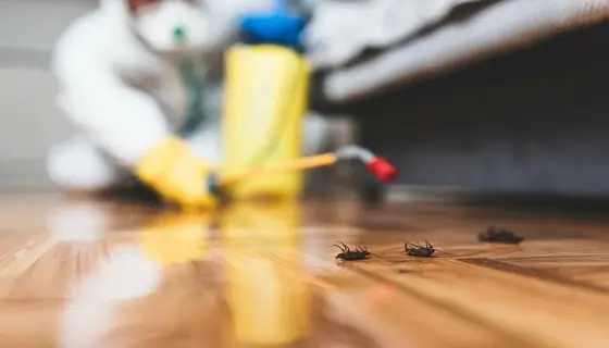 preventive cockroach control