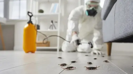 residential cockroach control