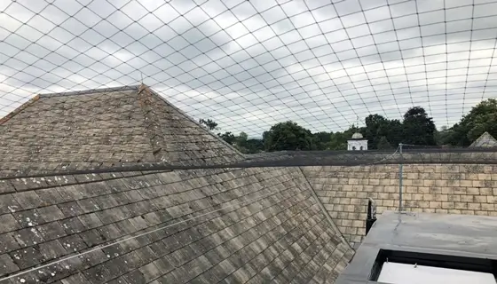 rooftop bird proofing