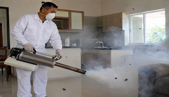 thermal fogging in dubai