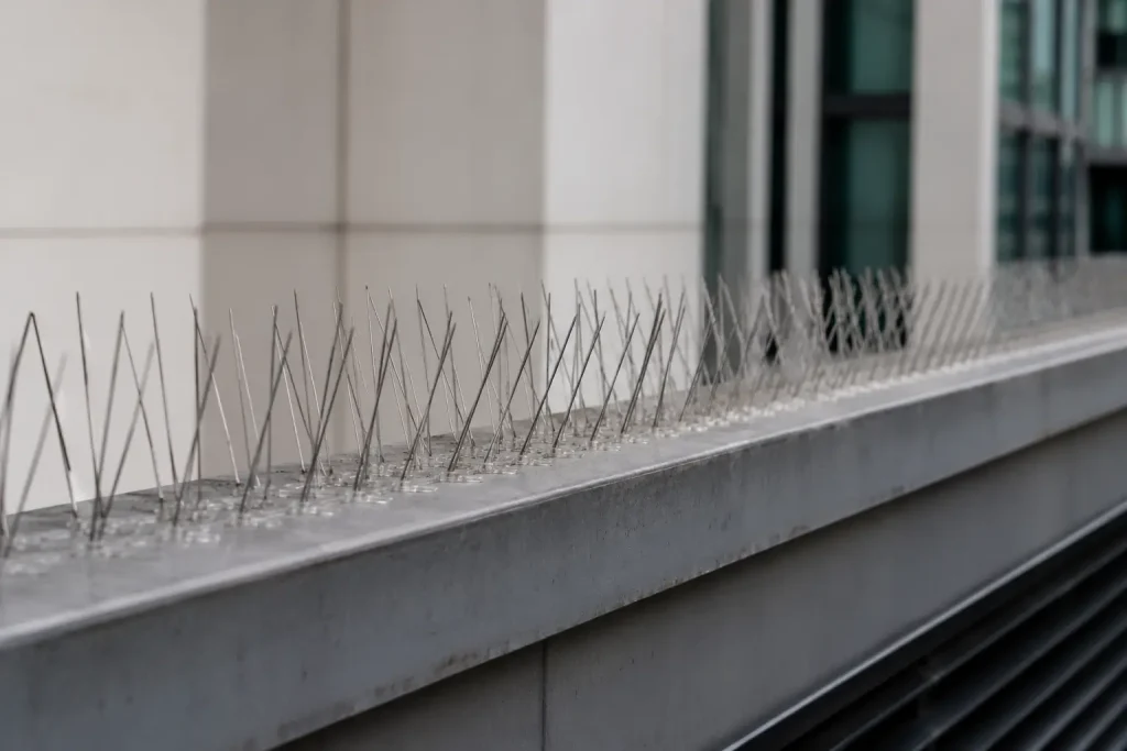 bird spikes in dubai