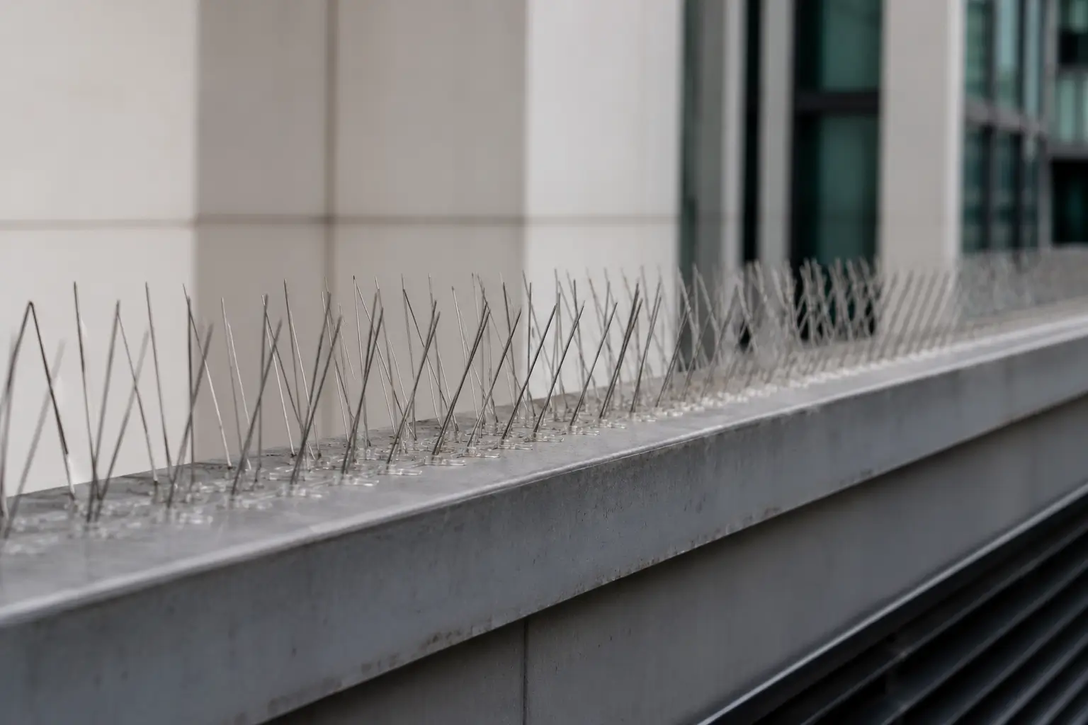 bird spikes in dubai