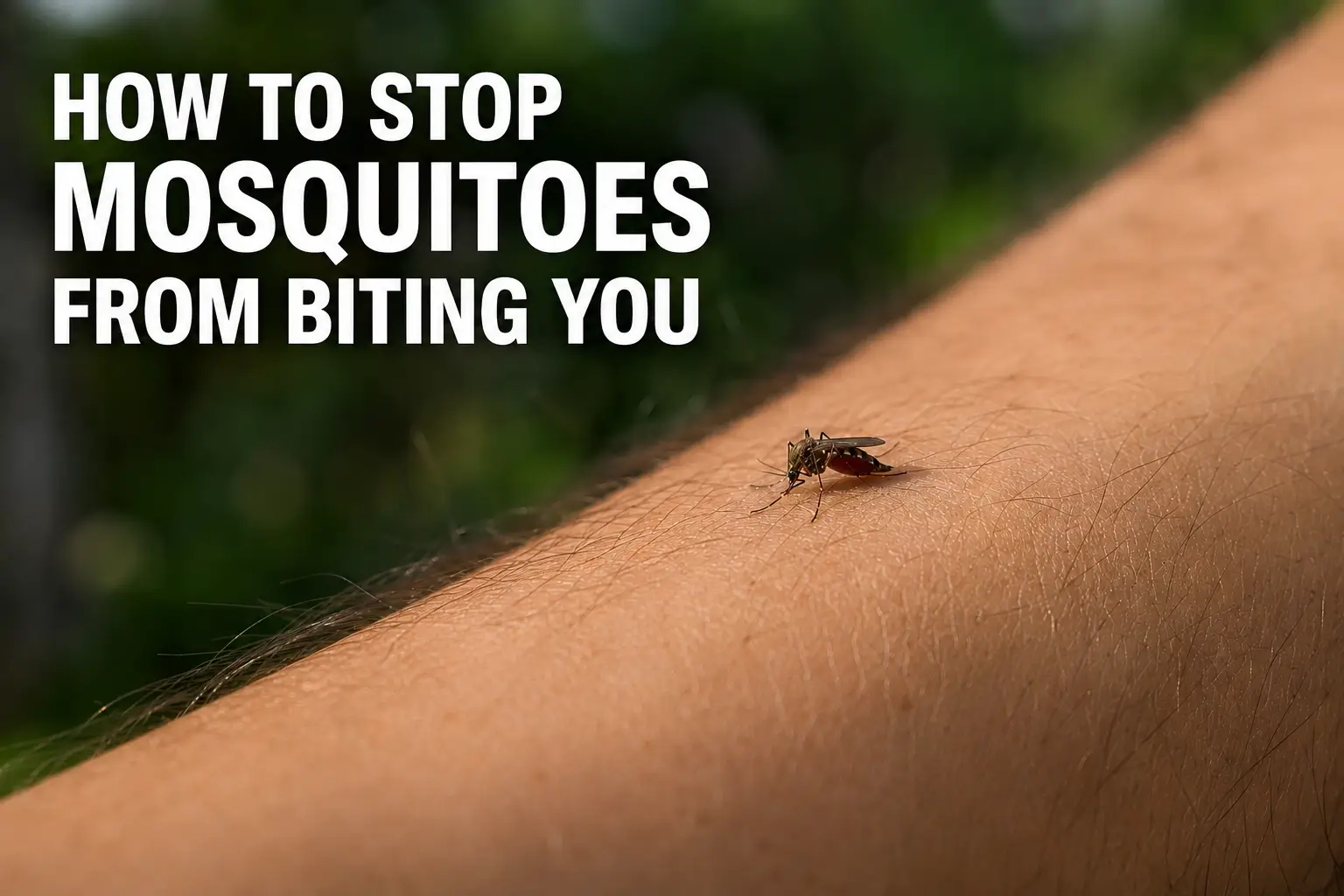 how to stop mosquitoes from biting you