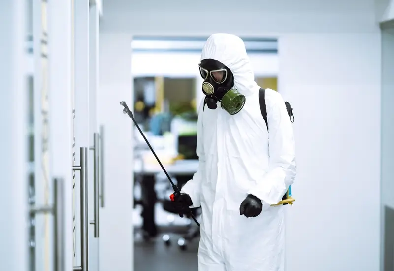 pest control services in al quoz