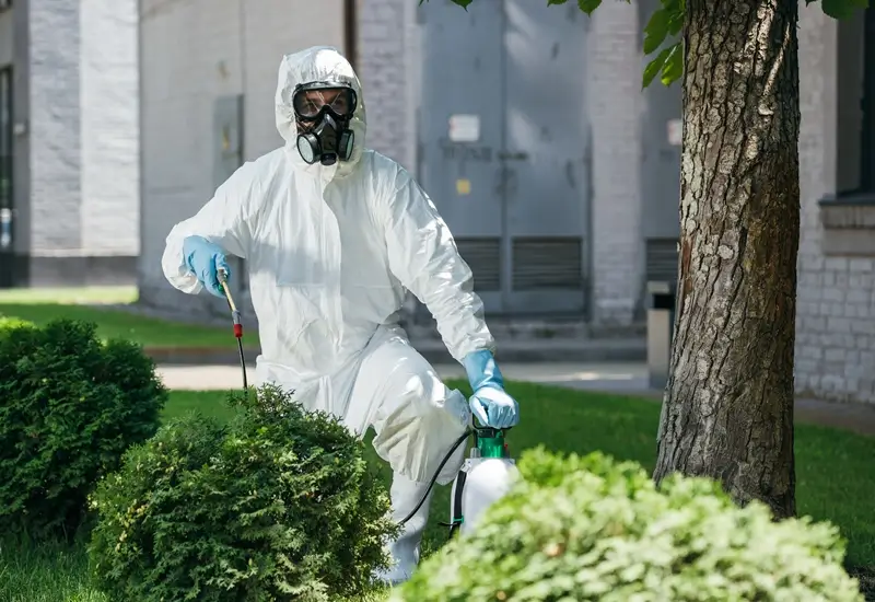 pest control services in business bay