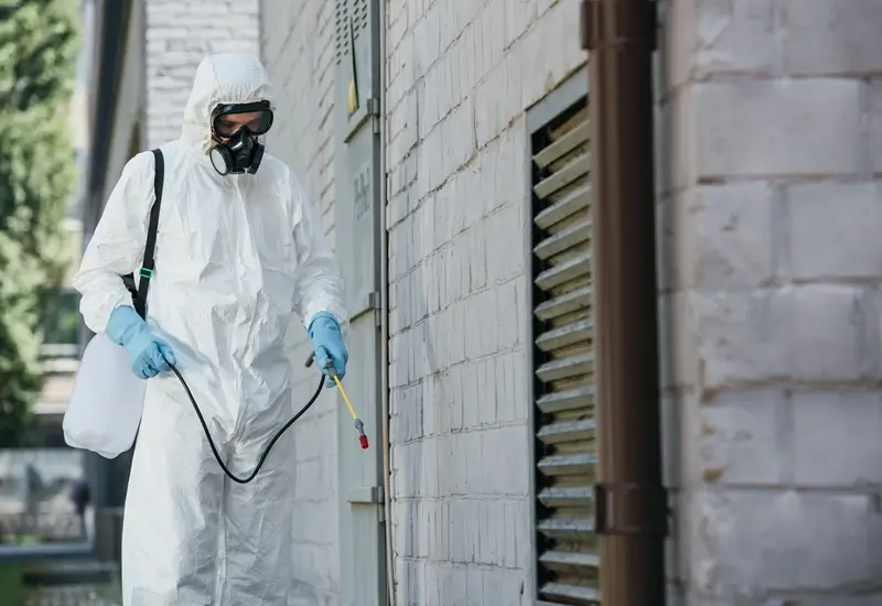pest control services in dubai creek harbour