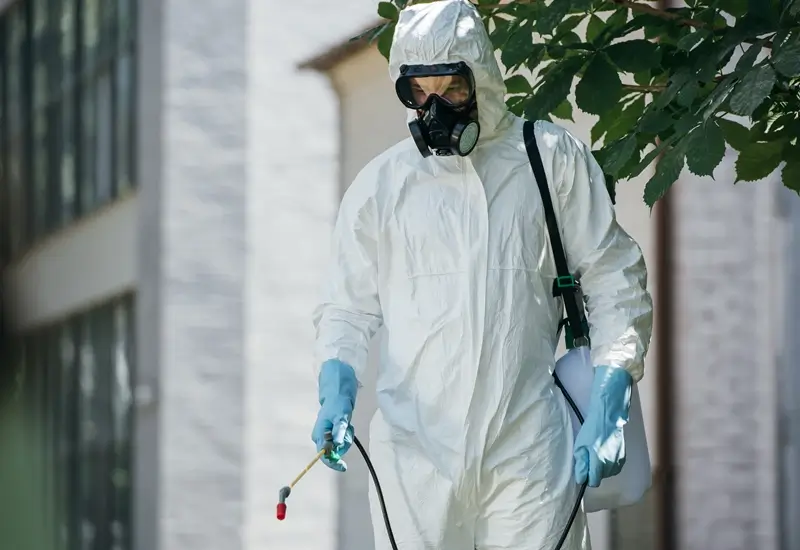 pest control services in dubai festival city