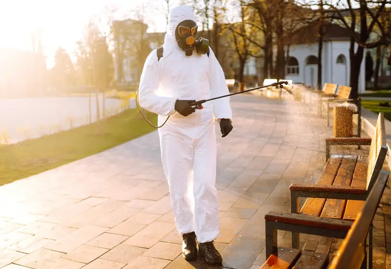 pest control services in jumeirah 1