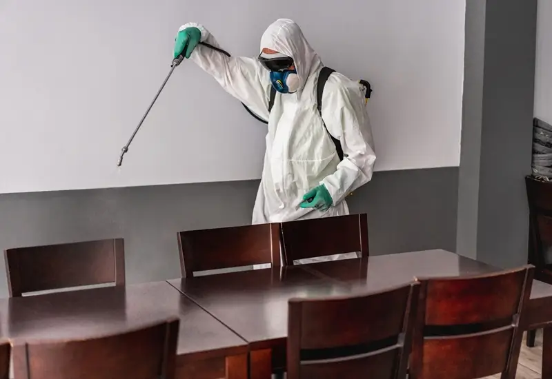 pest control services in nad al sheba