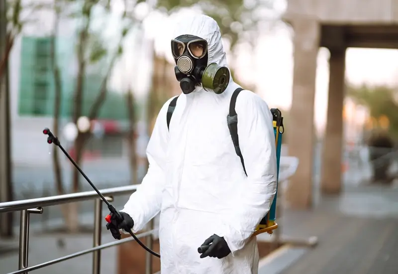pest control services in the villa