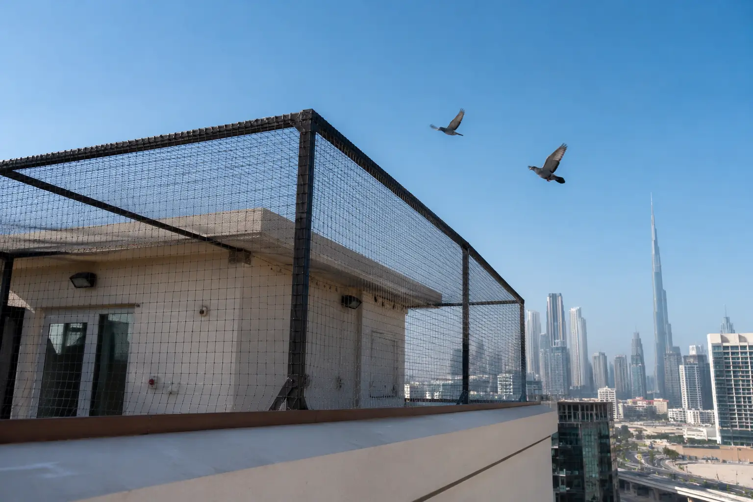 bird-netting-in-dubai