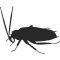 B-Banded Cockroach Treatment