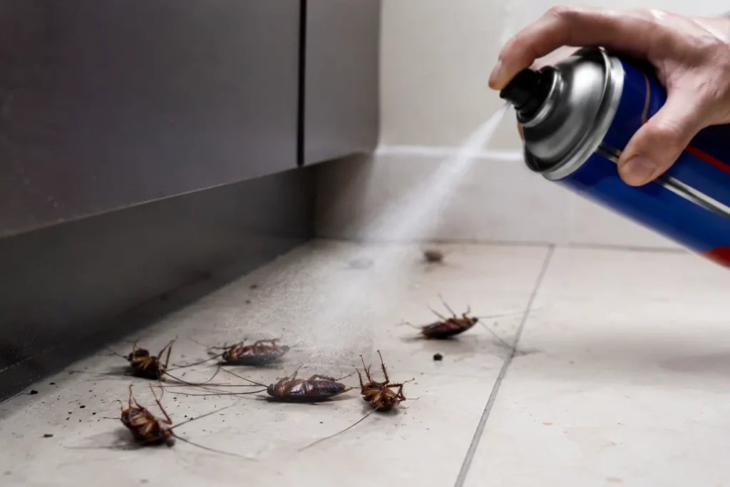 kills cockroaches instantly